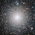 The globular cluster NGC 6388, observed by the NASA/ESA Hubble Space Telescope