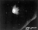 Halley's multiple dust tail