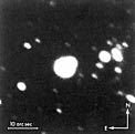 The star that exploded on February 23 in the Large Magellanic Cloud