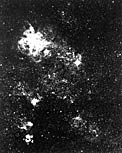 Supernova 1987A and the Tarantula Nebula