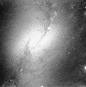 NGC 1365