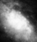 NGC 1808