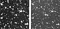 Nova Muscae 1991