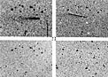 Minor Planet (4015)
