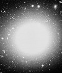 Planetary Nebulae in NGC 1399
