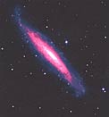 Young Astronomers Observe With ESO Telescopes