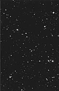 Cluster of Galaxies Abell 548