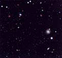 NTT SUSI Deep Field