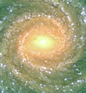 Spiral galaxy NGC 1232