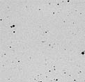Distant Radio Galaxy MRC0316-257