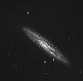 Spiral Galaxy NGC 253