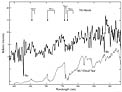 NN Ser Spectrum during Total Eclipse