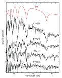 Spectrum of White Dwarf Stars in NGC 6397