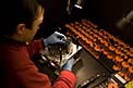 Active Phasing Experiment (APE) for the ELT