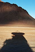 The Shadow of ALMA