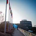 Flags at ESO Headquarters