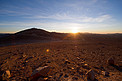 Desert landscape