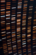 CCD calibrations