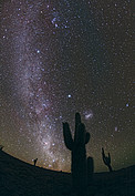 The Chilean Night Sky from ALMA