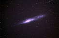 The Irregular Galaxy NGC 55