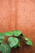 Contrast at Paranal Residencia
