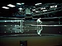 Mirror Cleaning