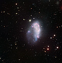 A Dwarf in the Fornax Cluster