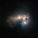 Frenzied Star Birth in Haro 11