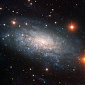 A Galaxy Full of Surprises — NGC 3621 is bulgeless but has three central black holes