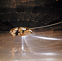 Peeking into SEST