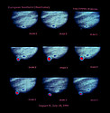 Images of Shoemaker-Levy 9 impact on Jupiter