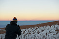 Penitentes