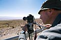 Herbert takes distance shots from ALMA