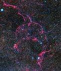 The Aftermath of a Massive Star's Death in Vela