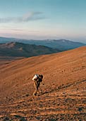 VLT Site Test Cerro Amazones
