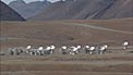 The ALMA array at the Chajnantor plane (part 6)