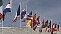 Flags at ALMA Observatory