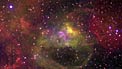 The Large Magellanic Cloud