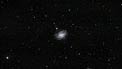 Zoom in onto the stellar black hole NGC 300 X-1