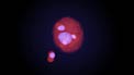 Simulation of the merging events in Abell 2744