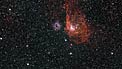 VideoZoom: Zářící plynné oblaky NGC 2014 a NGC 2020