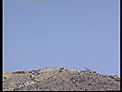 Blasting in the Desert