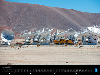 January — Unexpected neighbours