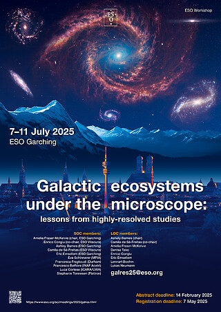 Galactic ecosystems under the microscope