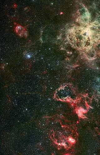 Tarantula Nebula 1 (Paranal Visitor Centre, International)