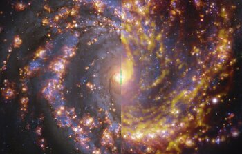 Vergleich verschiedener Ansichten der Galaxie NGC 4303