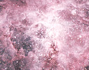 The central area of the Tarantula Nebula
