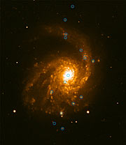 Spiral galaxy NGC 4254