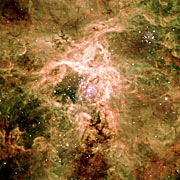La famosa nebulosa de la Tarántula