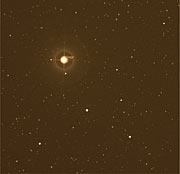 The planet-host star Iota Horologii
